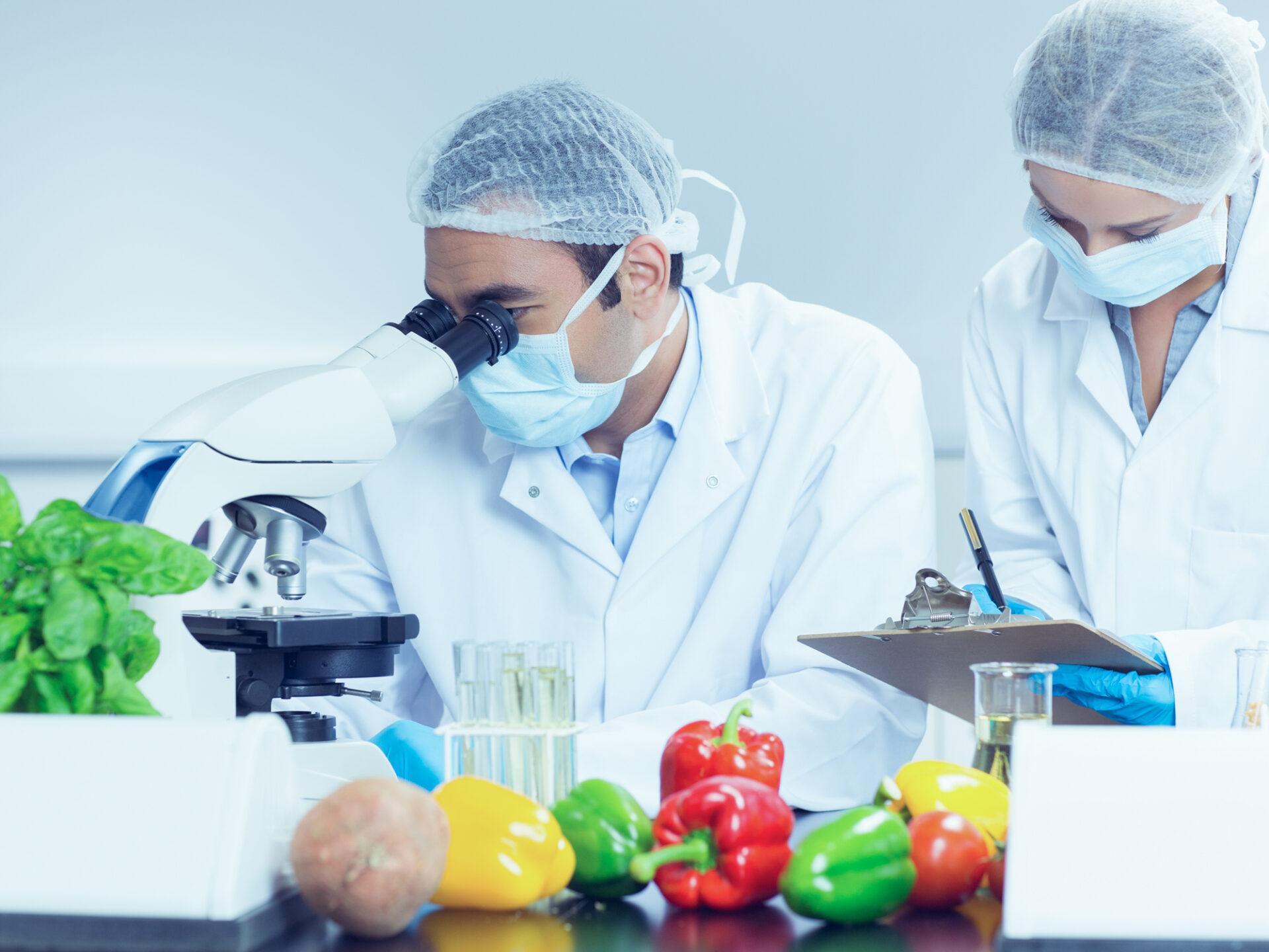 Профессия Food Scientists: кто и как создает еду будущего | Наука о Еде